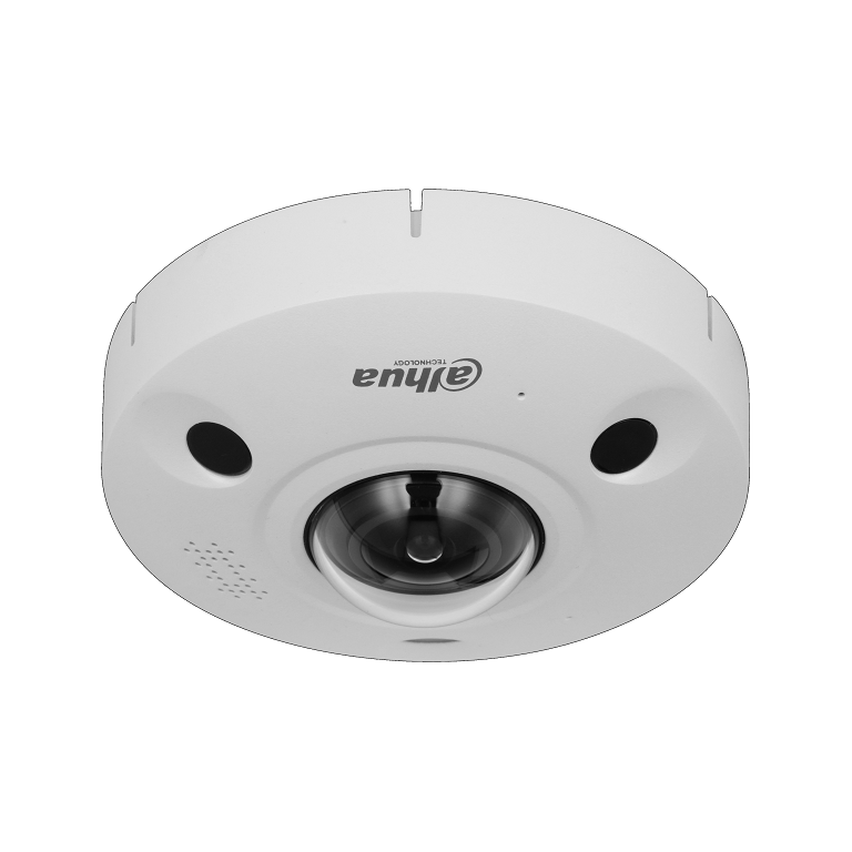 Dahua IP 12MP 1.85mm IP67 Analytics Panoramic Fisheye Camera